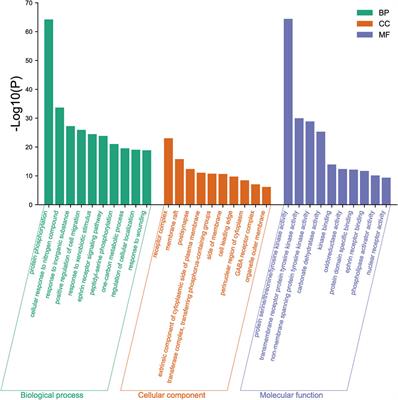 Identification and mechanism prediction of mulberroside A metabolites in vivo and in vitro of rats using an integrated strategy of UHPLC-Q-Exactive Plus Orbitrap MS and network pharmacology